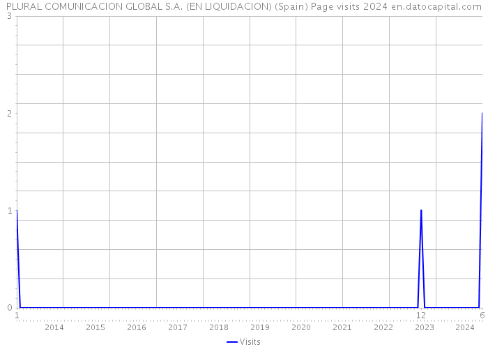 PLURAL COMUNICACION GLOBAL S.A. (EN LIQUIDACION) (Spain) Page visits 2024 