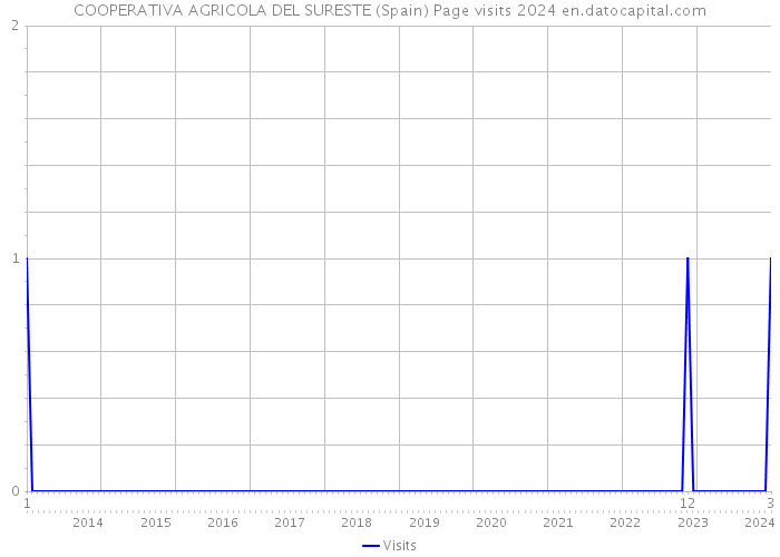 COOPERATIVA AGRICOLA DEL SURESTE (Spain) Page visits 2024 