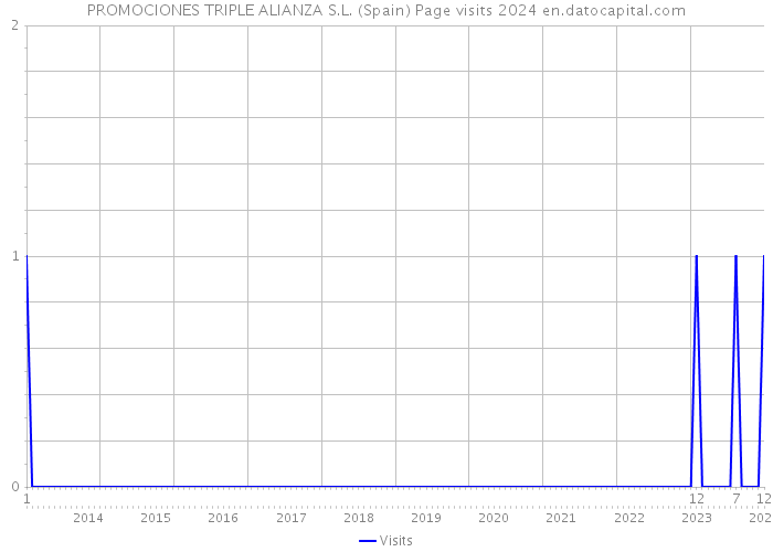 PROMOCIONES TRIPLE ALIANZA S.L. (Spain) Page visits 2024 