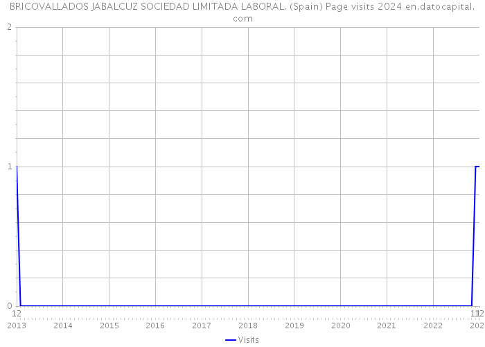 BRICOVALLADOS JABALCUZ SOCIEDAD LIMITADA LABORAL. (Spain) Page visits 2024 