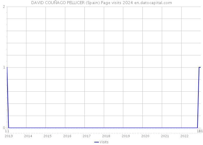 DAVID COUÑAGO PELLICER (Spain) Page visits 2024 