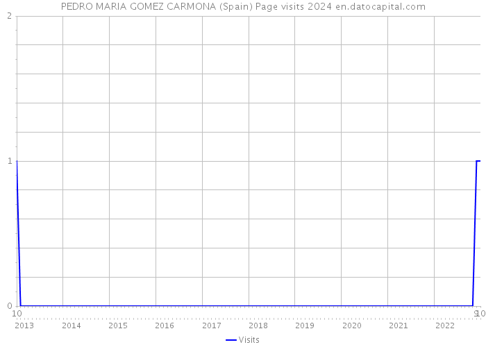 PEDRO MARIA GOMEZ CARMONA (Spain) Page visits 2024 