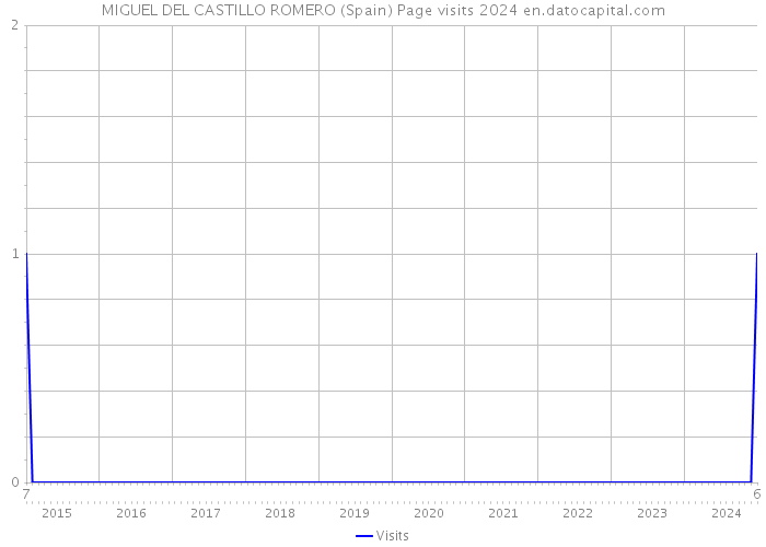 MIGUEL DEL CASTILLO ROMERO (Spain) Page visits 2024 