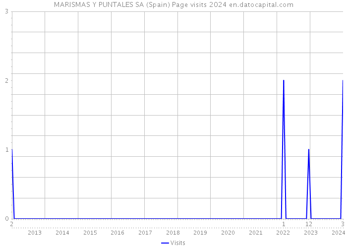 MARISMAS Y PUNTALES SA (Spain) Page visits 2024 
