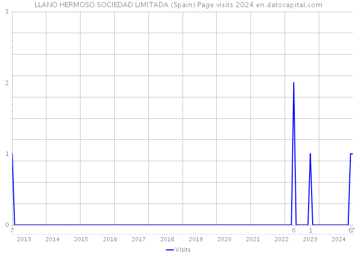 LLANO HERMOSO SOCIEDAD LIMITADA (Spain) Page visits 2024 