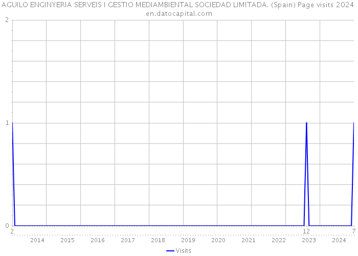 AGUILO ENGINYERIA SERVEIS I GESTIO MEDIAMBIENTAL SOCIEDAD LIMITADA. (Spain) Page visits 2024 