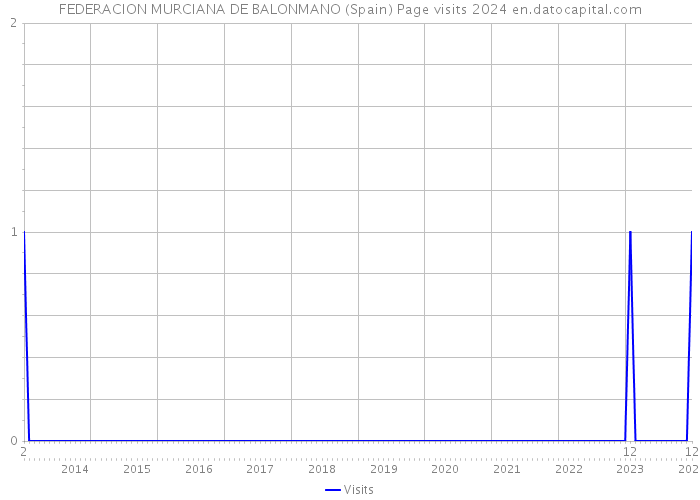 FEDERACION MURCIANA DE BALONMANO (Spain) Page visits 2024 