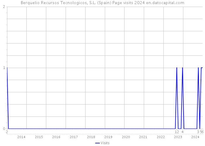 Berquelio Recursos Tecnologicos, S.L. (Spain) Page visits 2024 