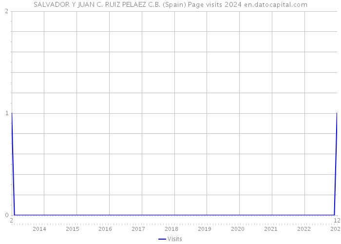 SALVADOR Y JUAN C. RUIZ PELAEZ C.B. (Spain) Page visits 2024 