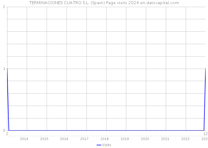 TERMINACIONES CUATRO S.L. (Spain) Page visits 2024 