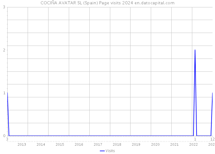 COCIÑA AVATAR SL (Spain) Page visits 2024 