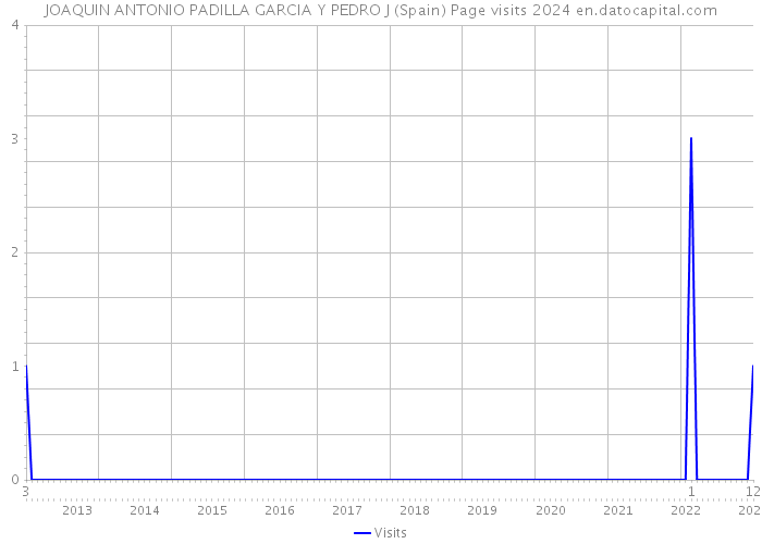 JOAQUIN ANTONIO PADILLA GARCIA Y PEDRO J (Spain) Page visits 2024 