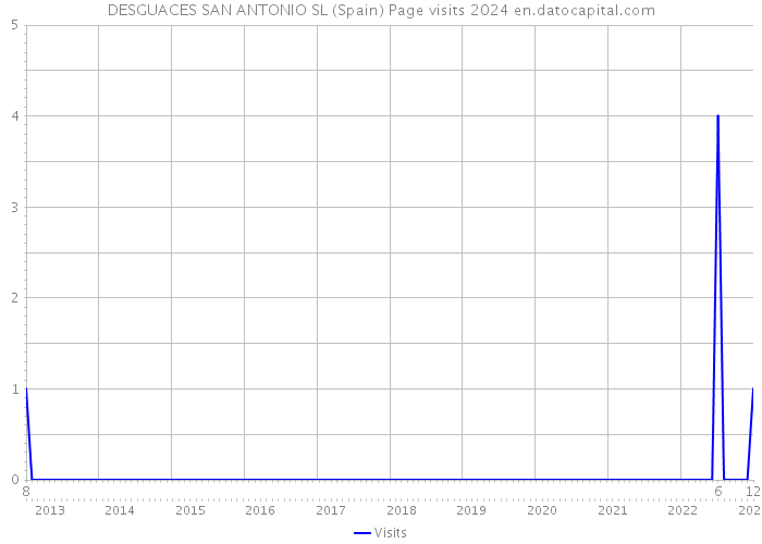 DESGUACES SAN ANTONIO SL (Spain) Page visits 2024 