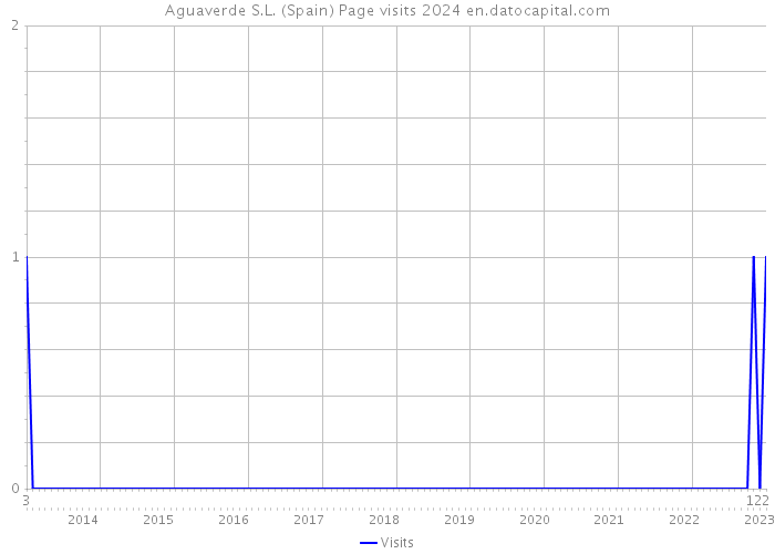 Aguaverde S.L. (Spain) Page visits 2024 