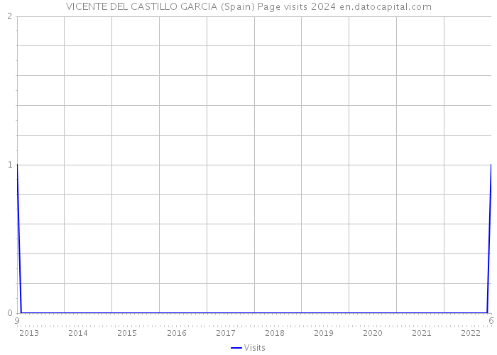 VICENTE DEL CASTILLO GARCIA (Spain) Page visits 2024 