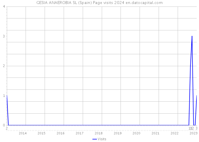 GESIA ANAEROBIA SL (Spain) Page visits 2024 