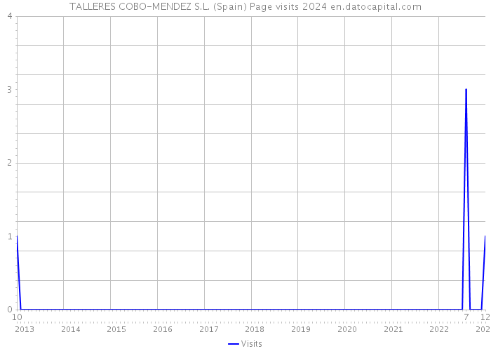 TALLERES COBO-MENDEZ S.L. (Spain) Page visits 2024 