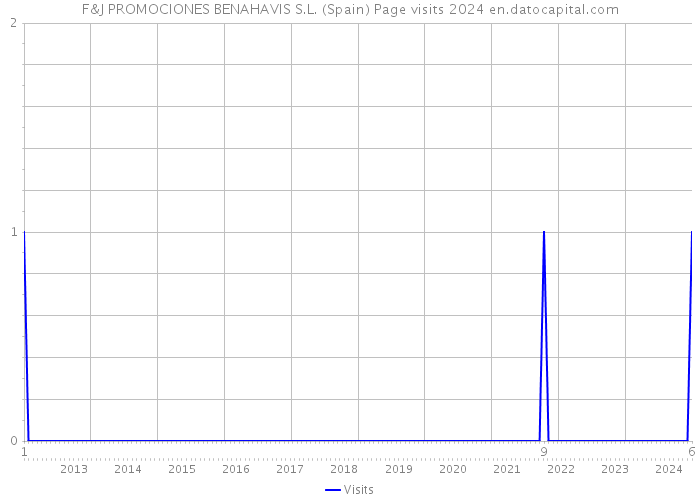 F&J PROMOCIONES BENAHAVIS S.L. (Spain) Page visits 2024 