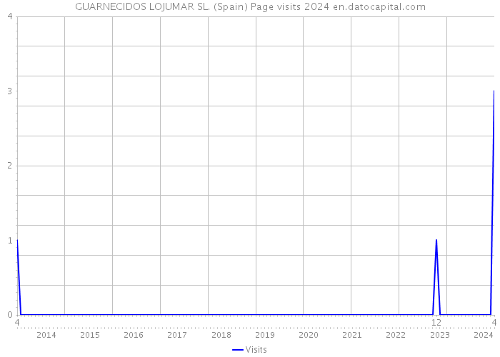 GUARNECIDOS LOJUMAR SL. (Spain) Page visits 2024 