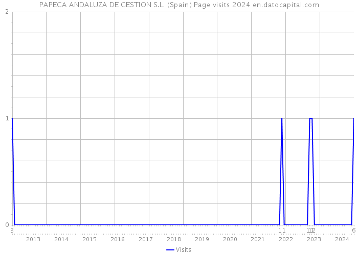 PAPECA ANDALUZA DE GESTION S.L. (Spain) Page visits 2024 