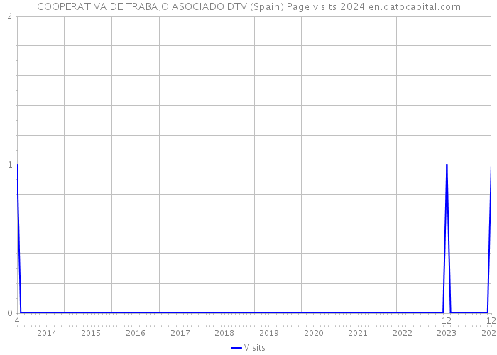 COOPERATIVA DE TRABAJO ASOCIADO DTV (Spain) Page visits 2024 