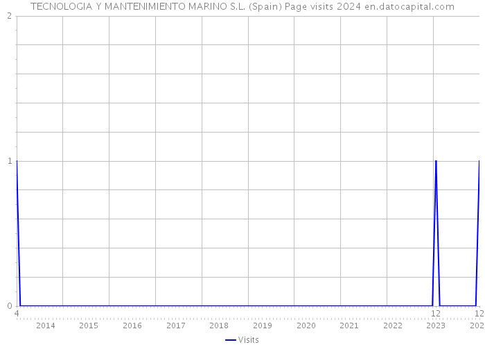 TECNOLOGIA Y MANTENIMIENTO MARINO S.L. (Spain) Page visits 2024 