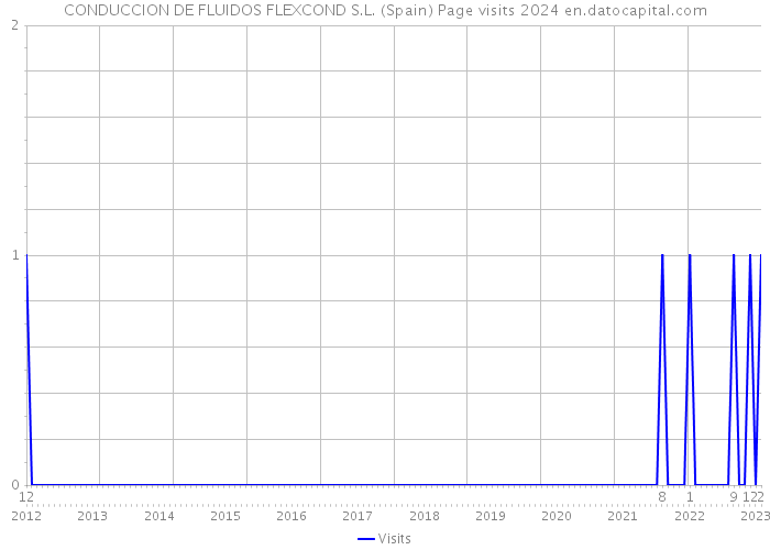 CONDUCCION DE FLUIDOS FLEXCOND S.L. (Spain) Page visits 2024 