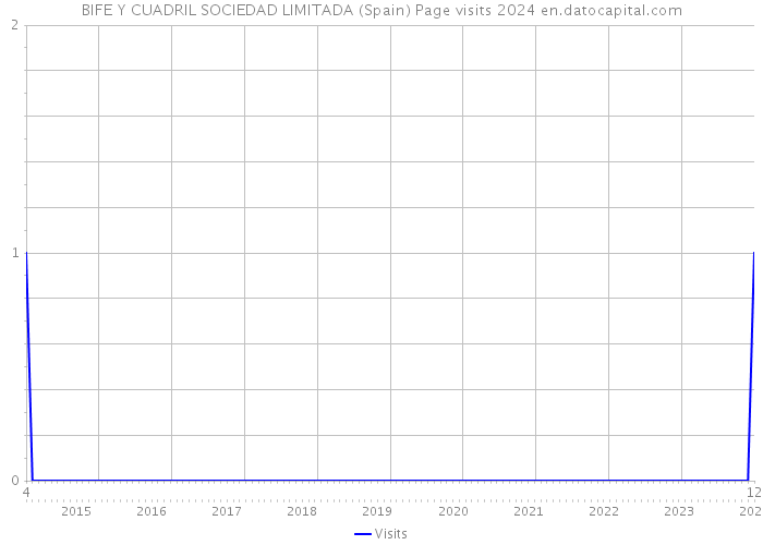 BIFE Y CUADRIL SOCIEDAD LIMITADA (Spain) Page visits 2024 