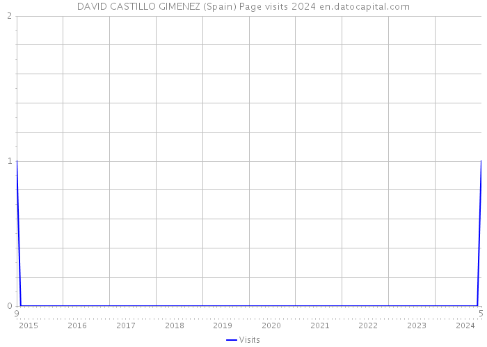 DAVID CASTILLO GIMENEZ (Spain) Page visits 2024 