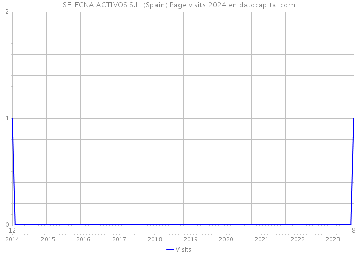 SELEGNA ACTIVOS S.L. (Spain) Page visits 2024 