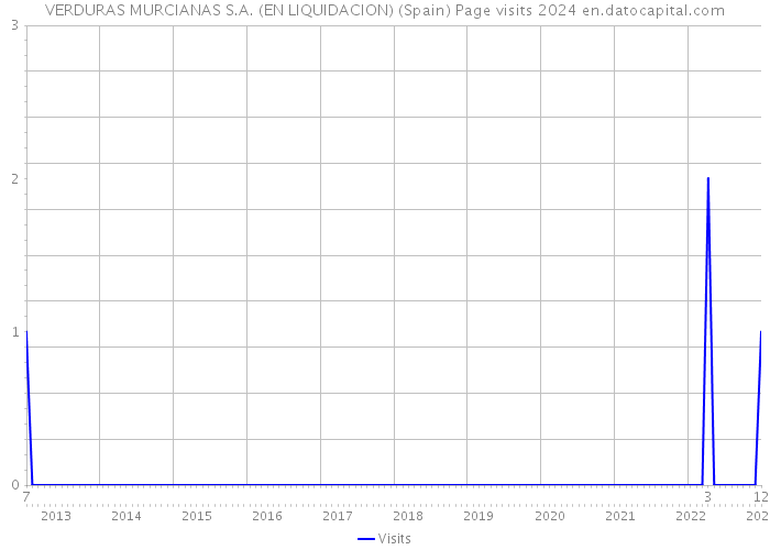 VERDURAS MURCIANAS S.A. (EN LIQUIDACION) (Spain) Page visits 2024 