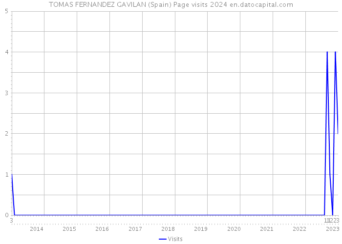 TOMAS FERNANDEZ GAVILAN (Spain) Page visits 2024 