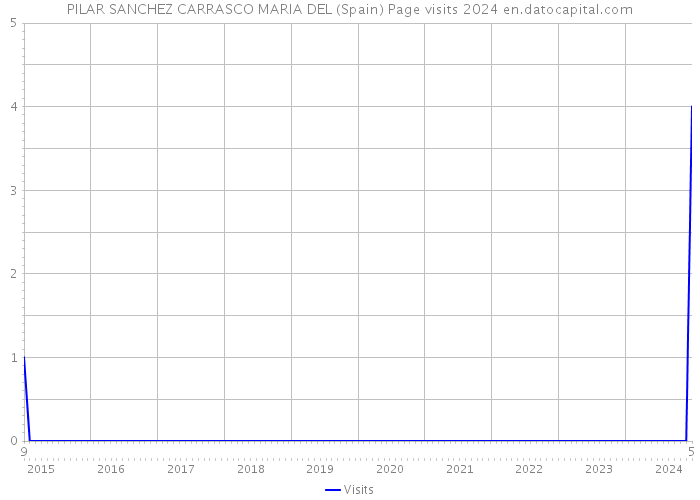 PILAR SANCHEZ CARRASCO MARIA DEL (Spain) Page visits 2024 