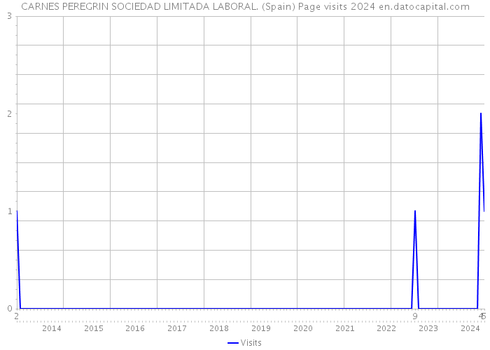 CARNES PEREGRIN SOCIEDAD LIMITADA LABORAL. (Spain) Page visits 2024 