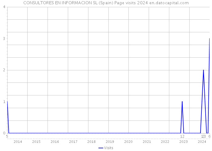 CONSULTORES EN INFORMACION SL (Spain) Page visits 2024 