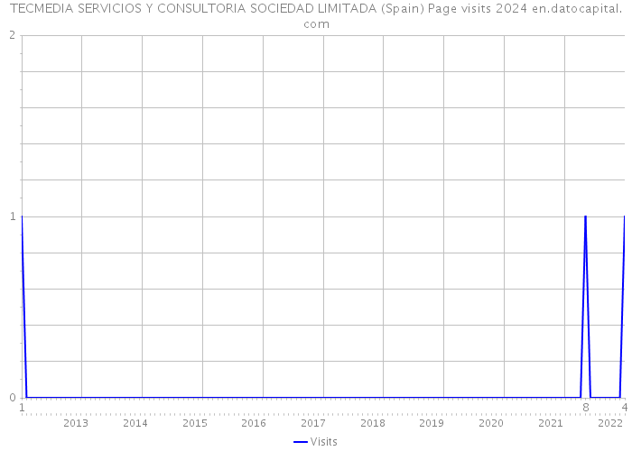 TECMEDIA SERVICIOS Y CONSULTORIA SOCIEDAD LIMITADA (Spain) Page visits 2024 