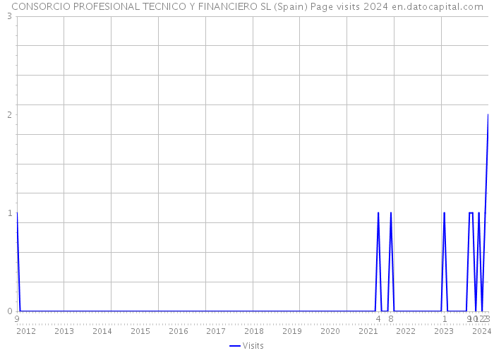 CONSORCIO PROFESIONAL TECNICO Y FINANCIERO SL (Spain) Page visits 2024 