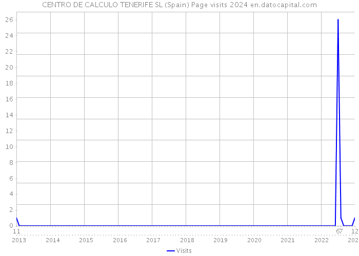 CENTRO DE CALCULO TENERIFE SL (Spain) Page visits 2024 
