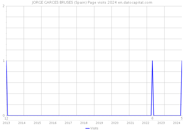 JORGE GARCES BRUSES (Spain) Page visits 2024 