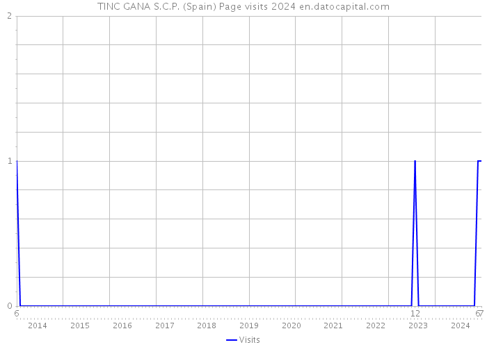 TINC GANA S.C.P. (Spain) Page visits 2024 