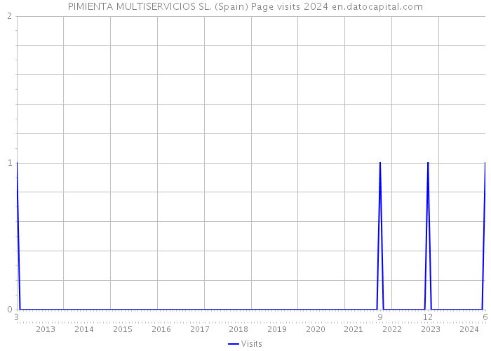 PIMIENTA MULTISERVICIOS SL. (Spain) Page visits 2024 