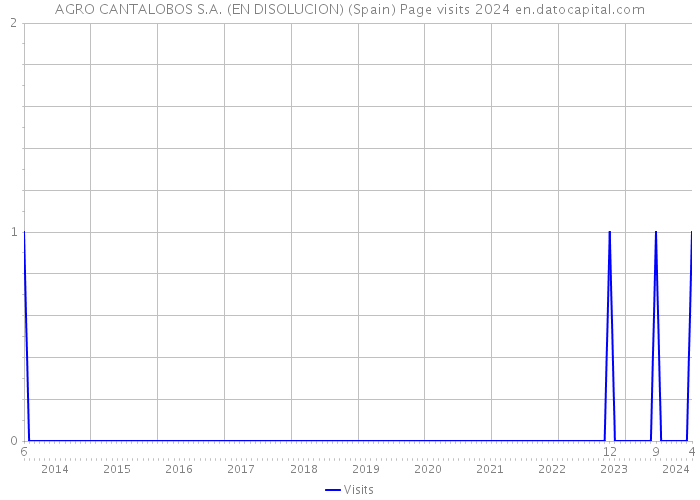 AGRO CANTALOBOS S.A. (EN DISOLUCION) (Spain) Page visits 2024 