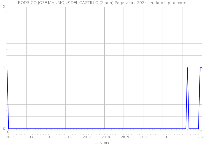 RODRIGO JOSE MANRIQUE DEL CASTILLO (Spain) Page visits 2024 