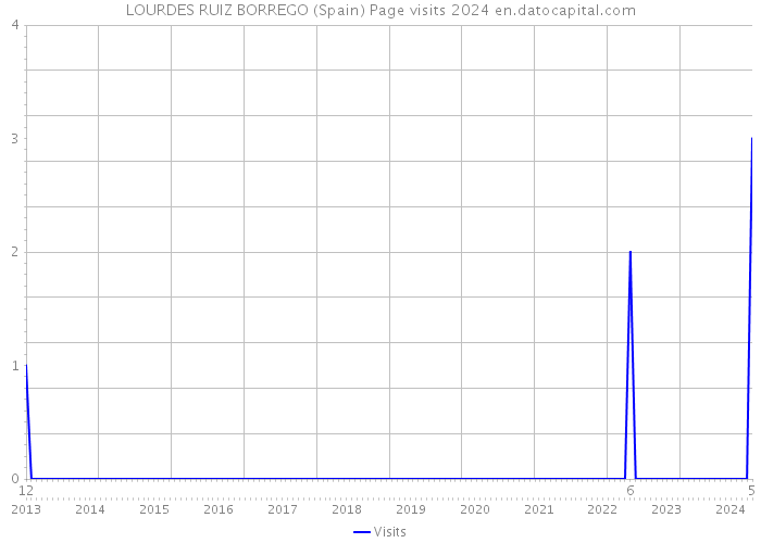 LOURDES RUIZ BORREGO (Spain) Page visits 2024 