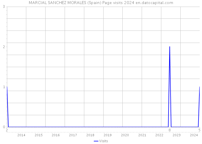 MARCIAL SANCHEZ MORALES (Spain) Page visits 2024 