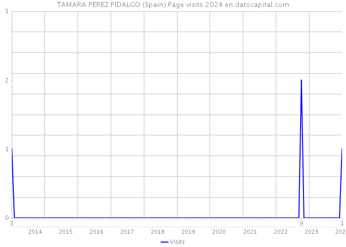 TAMARA PEREZ FIDALGO (Spain) Page visits 2024 
