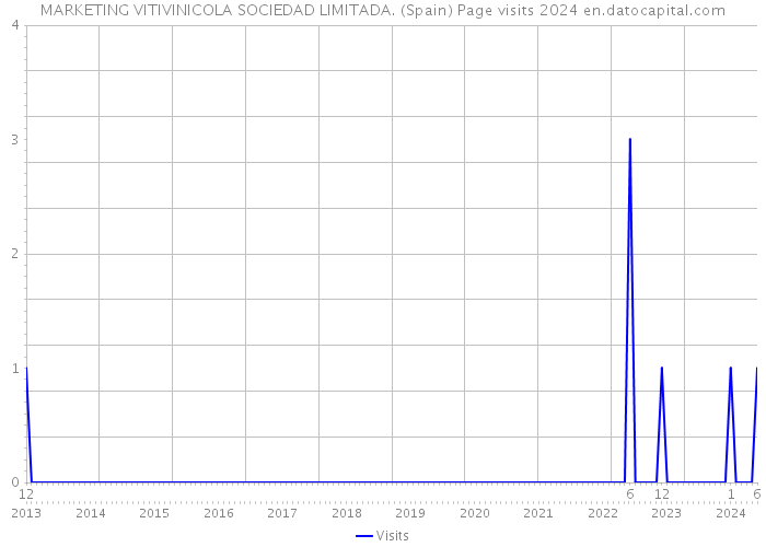 MARKETING VITIVINICOLA SOCIEDAD LIMITADA. (Spain) Page visits 2024 