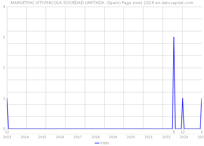 MARKETING VITIVINICOLA SOCIEDAD LIMITADA. (Spain) Page visits 2024 