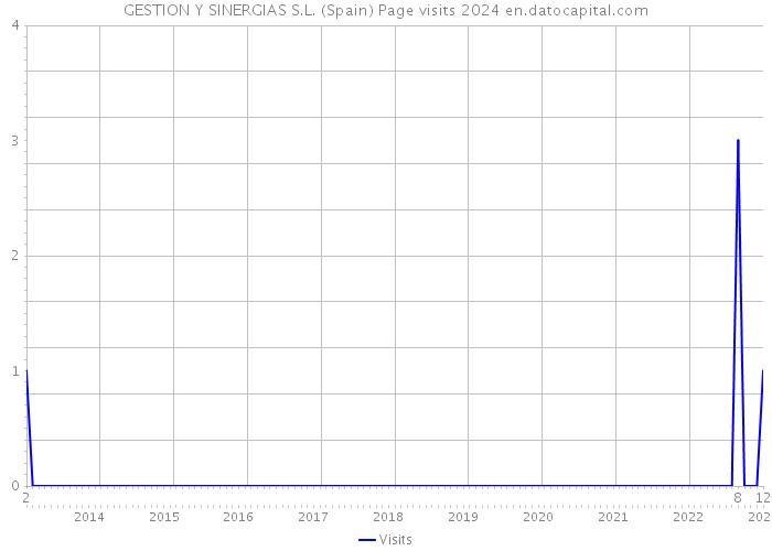 GESTION Y SINERGIAS S.L. (Spain) Page visits 2024 