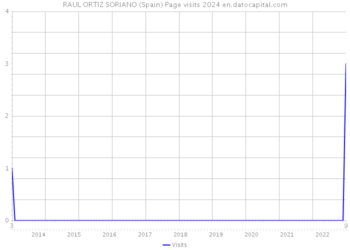 RAUL ORTIZ SORIANO (Spain) Page visits 2024 